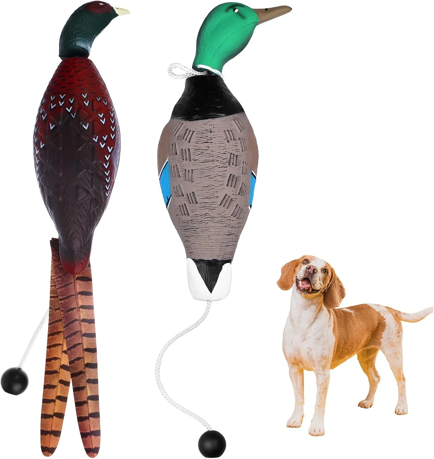 2 Pcs Pheasant Duck Dummy Toy Outdoor Training Tools Pet Interactive Toys for Hunting Dog Retriever Floating Mallard Recognition Trainers