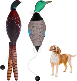 2 Pcs Pheasant Duck Dummy Toy Outdoor Training Tools Pet Interactive Toys for Hunting Dog Retriever Floating Mallard Recognition Trainers