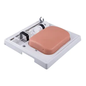 3B Scientific 1019637 Sonotrain Vein Model, Grade: 1 to 12