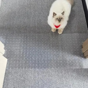 3PCS Pet Carpet Protector, Doorway Anti-Cat Scratch Carpet Protector, Non-Slip,Under Door Anti-Cat Scratch Protective Mat, 3.8FT*15.3inch