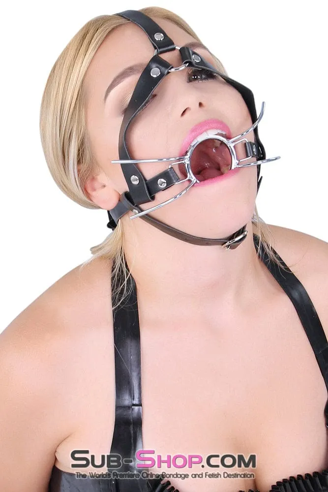 4456HS      Trainer Style Spider Gag