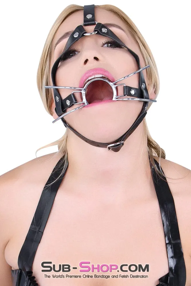 4456HS      Trainer Style Spider Gag