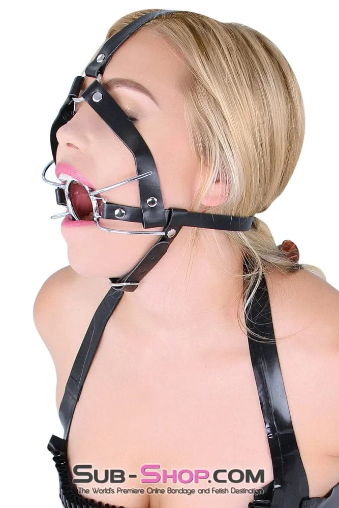 4456HS      Trainer Style Spider Gag