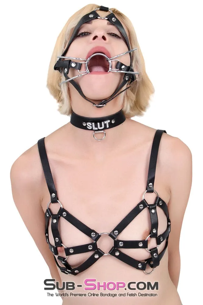 4456HS      Trainer Style Spider Gag