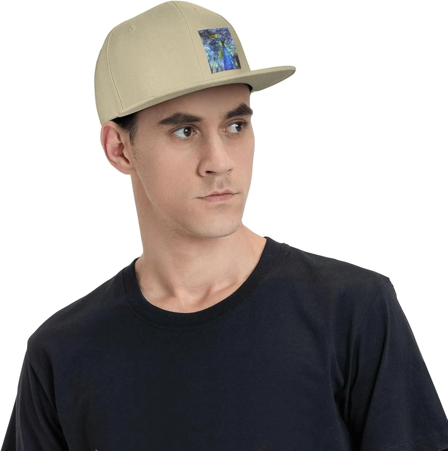 Abstract Starry Night Peacock Snapback Hats for Men Women Baseball Cap Flat Bill Brim Hat
