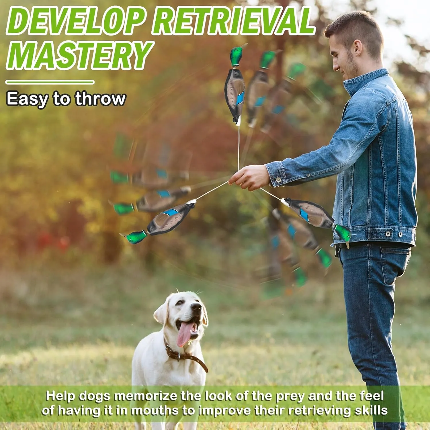 ARCHEREST Dead Duck Dove Pheasant Dummy Bumper Toys for Waterfowl Hunting Retriever Dog Training, Floating Mallard Dummy Trainer Outdoor Soft Durable Realistic Fowl