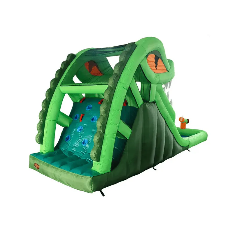 Dragon's Lair Waterslide Inflatable