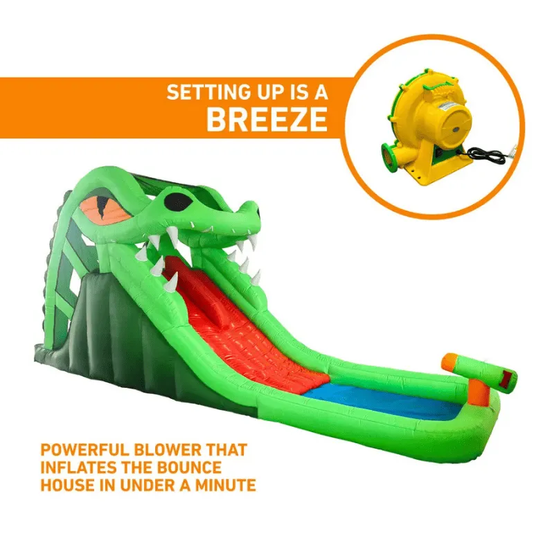 Dragon's Lair Waterslide Inflatable