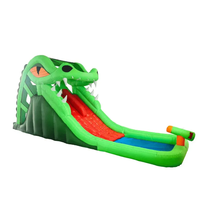 Dragon's Lair Waterslide Inflatable