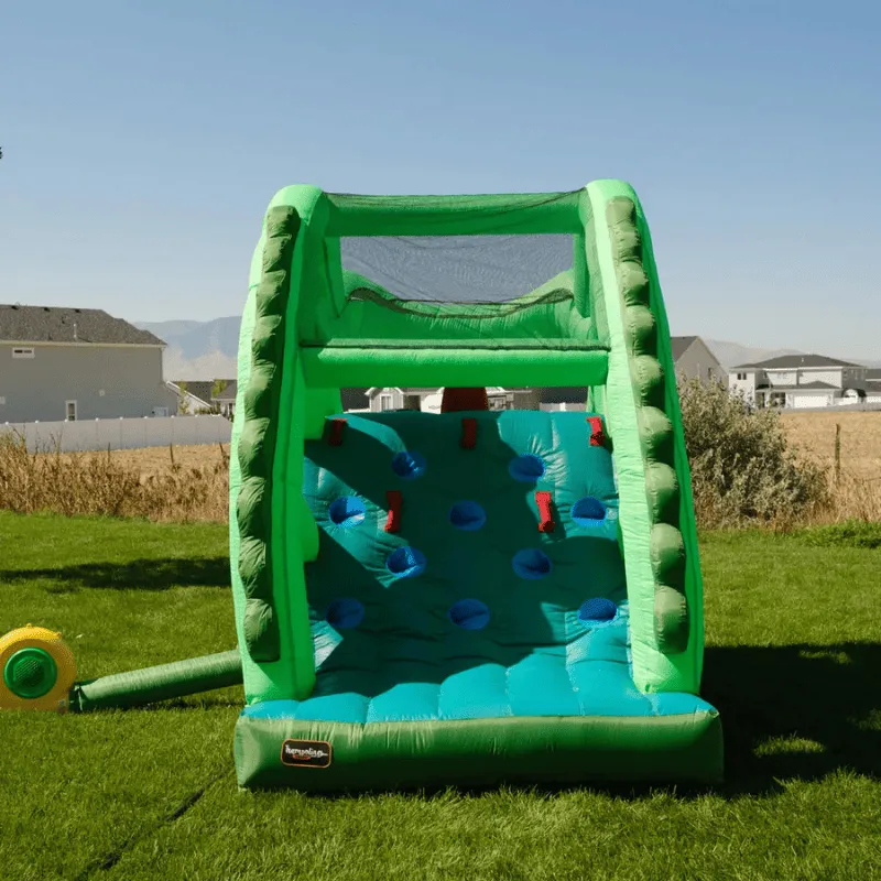 Dragon's Lair Waterslide Inflatable
