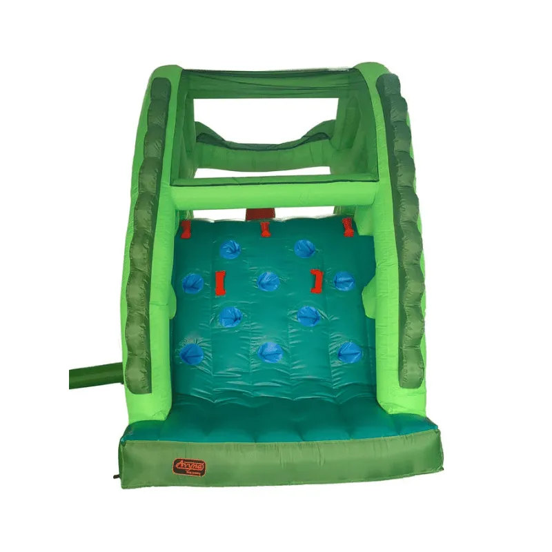 Dragon's Lair Waterslide Inflatable
