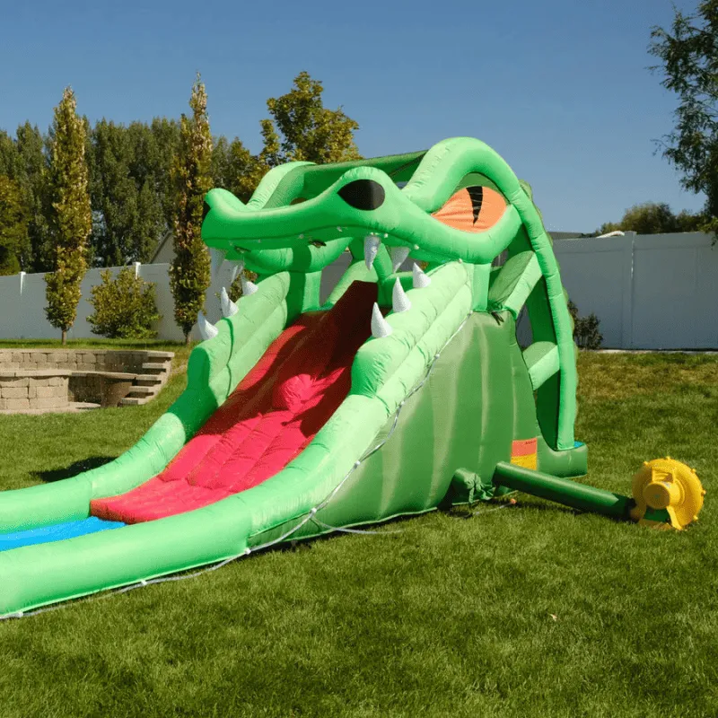 Dragon's Lair Waterslide Inflatable
