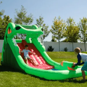 Dragon's Lair Waterslide Inflatable