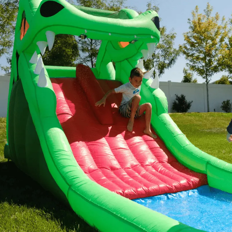 Dragon's Lair Waterslide Inflatable