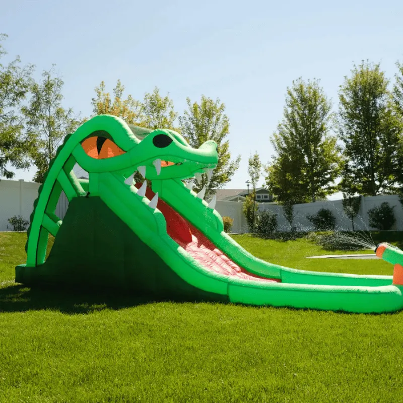 Dragon's Lair Waterslide Inflatable