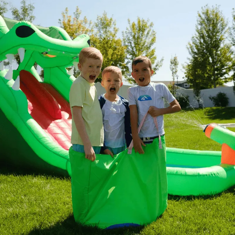 Dragon's Lair Waterslide Inflatable