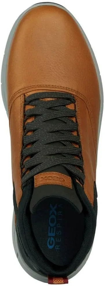 Geox Men's Classic Ankle Boot
