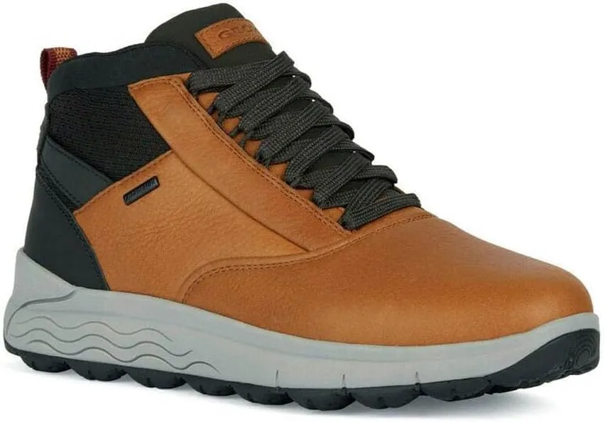 Geox Men's Classic Ankle Boot