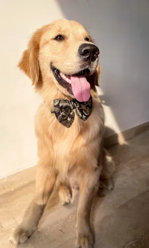 LuxeLiv Diwali Doggy Bowtie: Paw-sitively Adorable Desi Flair