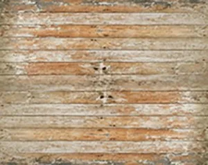 Noah Floor