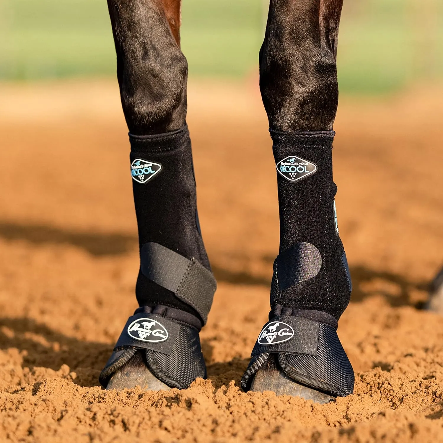 Professional's Choice 2XCOOL Sports Medicine Horse Boots | Protective & Breathable Design for Ultimate Comfort, Durability & Cooling in Active Horses | 2 Pack (BLACK, MEDIUM)