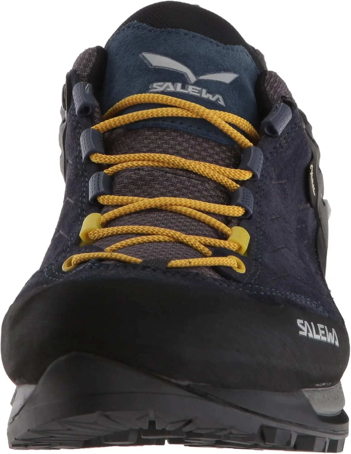 Salewa Men's MS MTN Trainer GTX Hiking Shoe