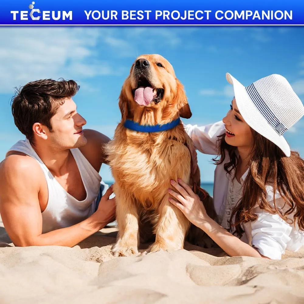 TECEUM Buckles & Strap Kit – 2" Black Nylon Webbing 6 (yd) – 6 Heavy Duty Adjustable Plastic Buckles – 12 Tri-Glide Slide Clips – 6 Metal D-Ring – Ideal Straps for Arts Crafts Outdoors Indoors DIY