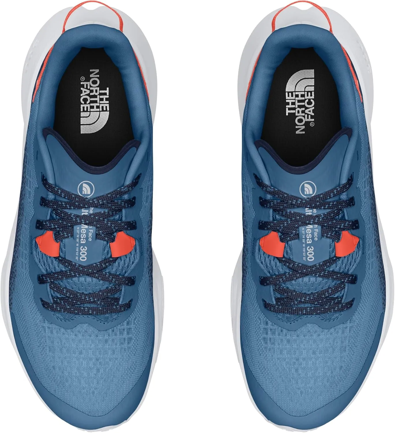 THE NORTH FACE Men's Altamesa 300 Hiking Shoe